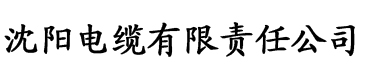 亲情会大结局最新章节电缆厂logo